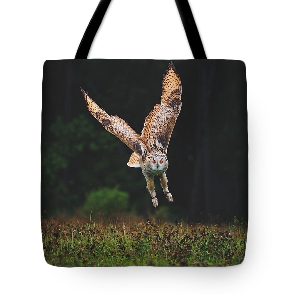 Owl Tote Bag featuring the photograph The Perfect Predator by Mountain Dreams