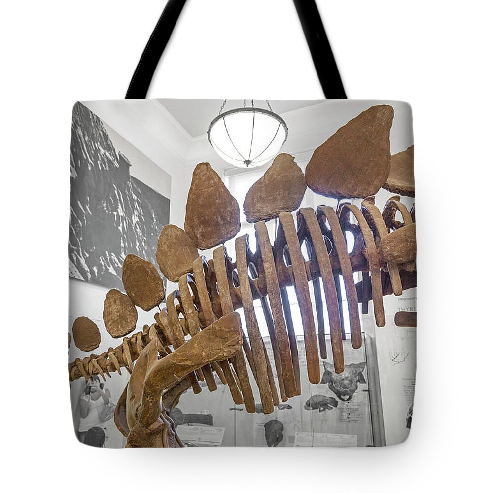 Dinosaur Tote Bag featuring the photograph The Rib Cage by Betsy Knapp