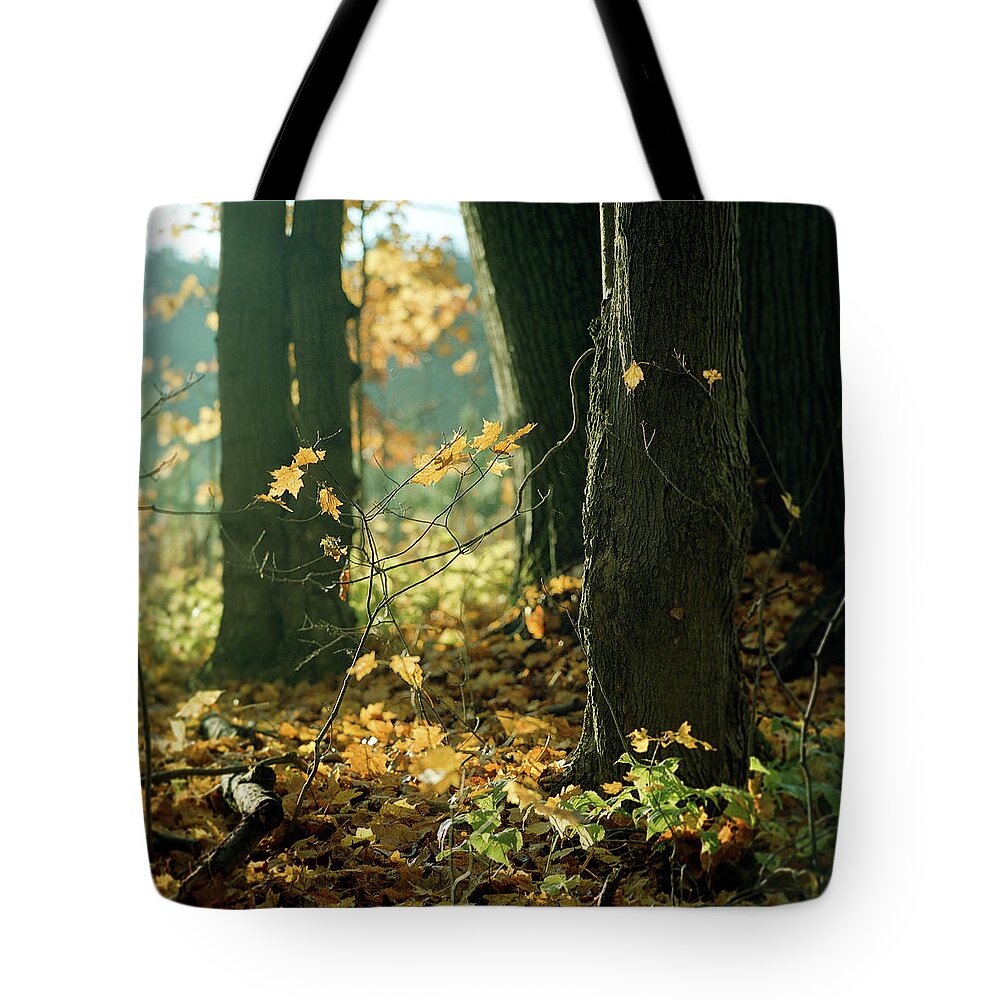 Stouffville Tote Bags