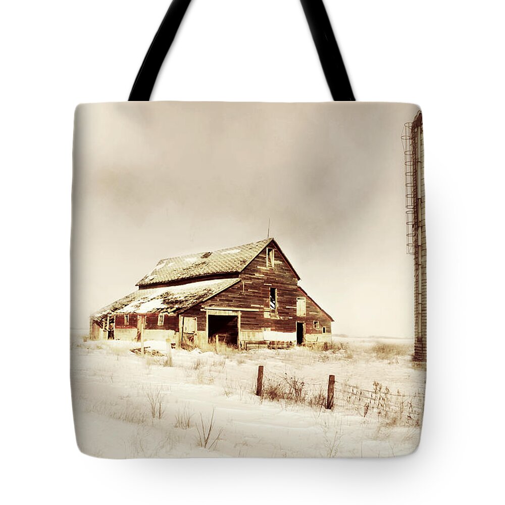 Top Selling Art Tote Bag featuring the photograph The Setinal by Julie Hamilton