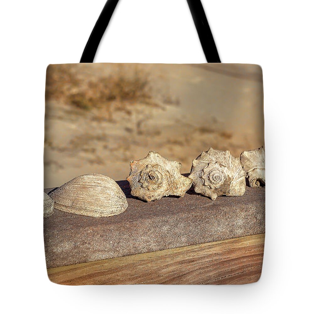 Beach Tote Bag featuring the photograph The Shell Collection by Kathy Baccari