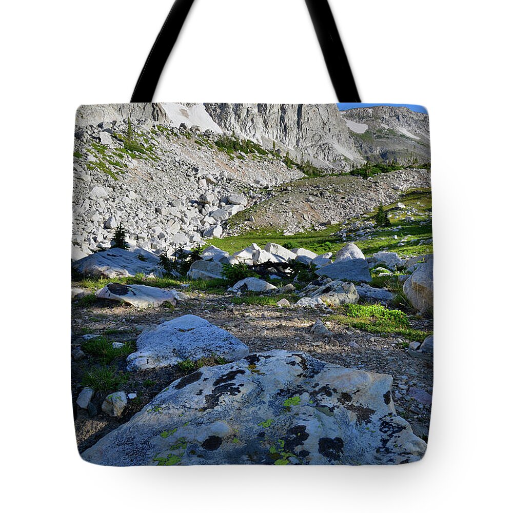 Snowy Range Mountains Tote Bag featuring the photograph The Snowy Range of Wyoming by Ray Mathis