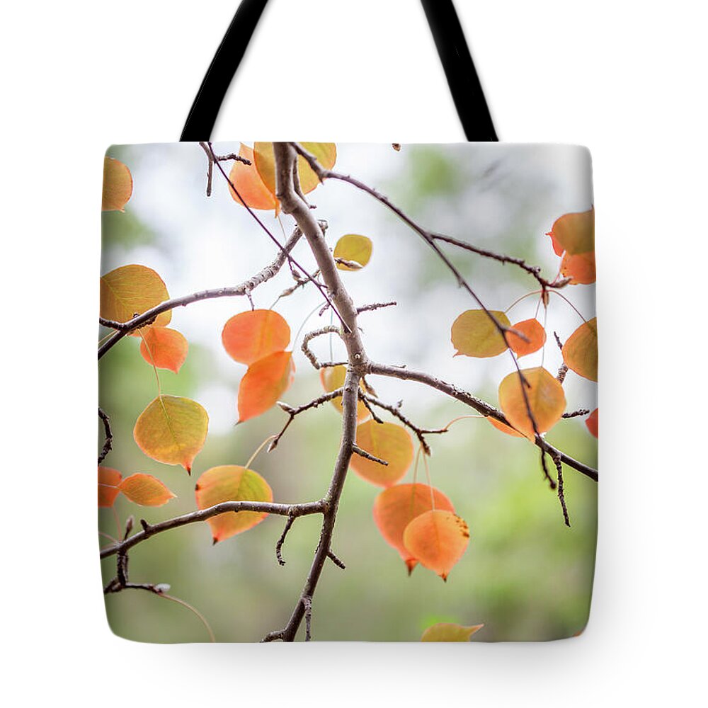 Hunter Valley Tote Bag featuring the photograph The Start Of Fall by Az Jackson
