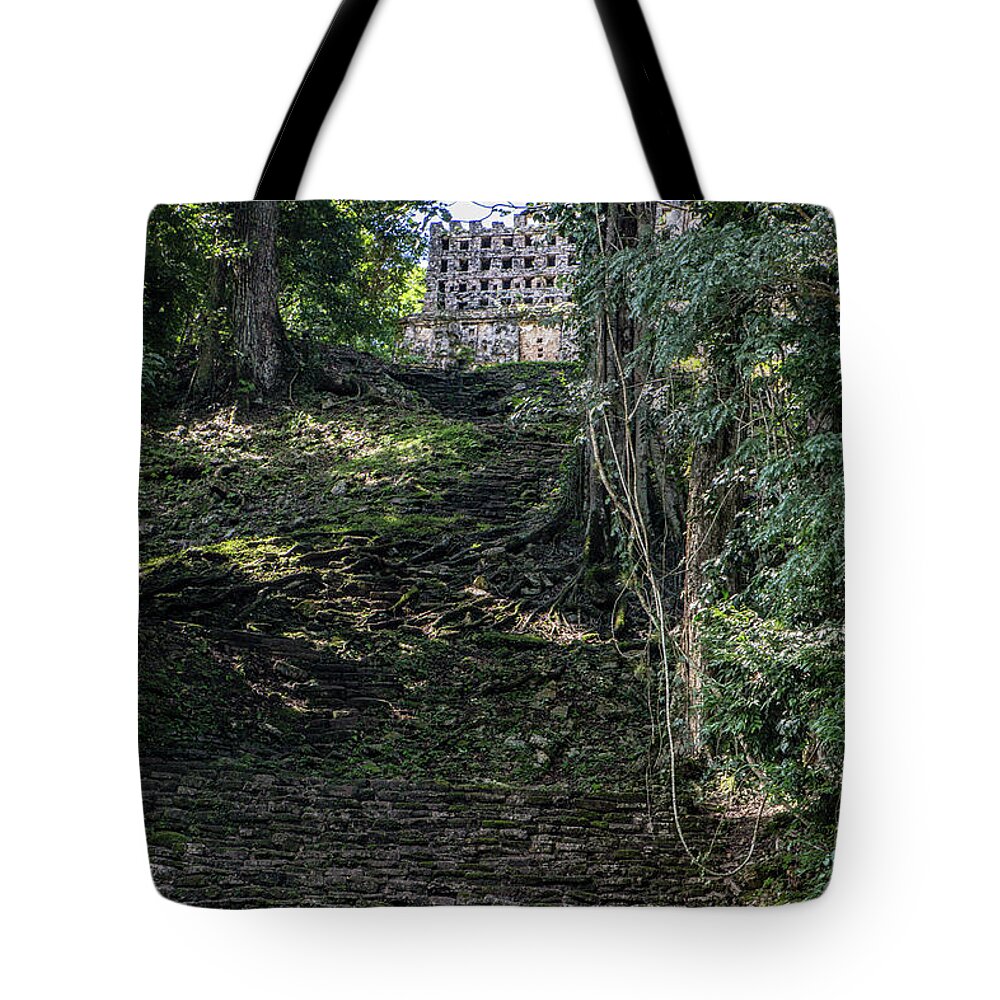 Chiapas Tote Bag featuring the photograph The Steps I Did Not Climb by Kathy McClure