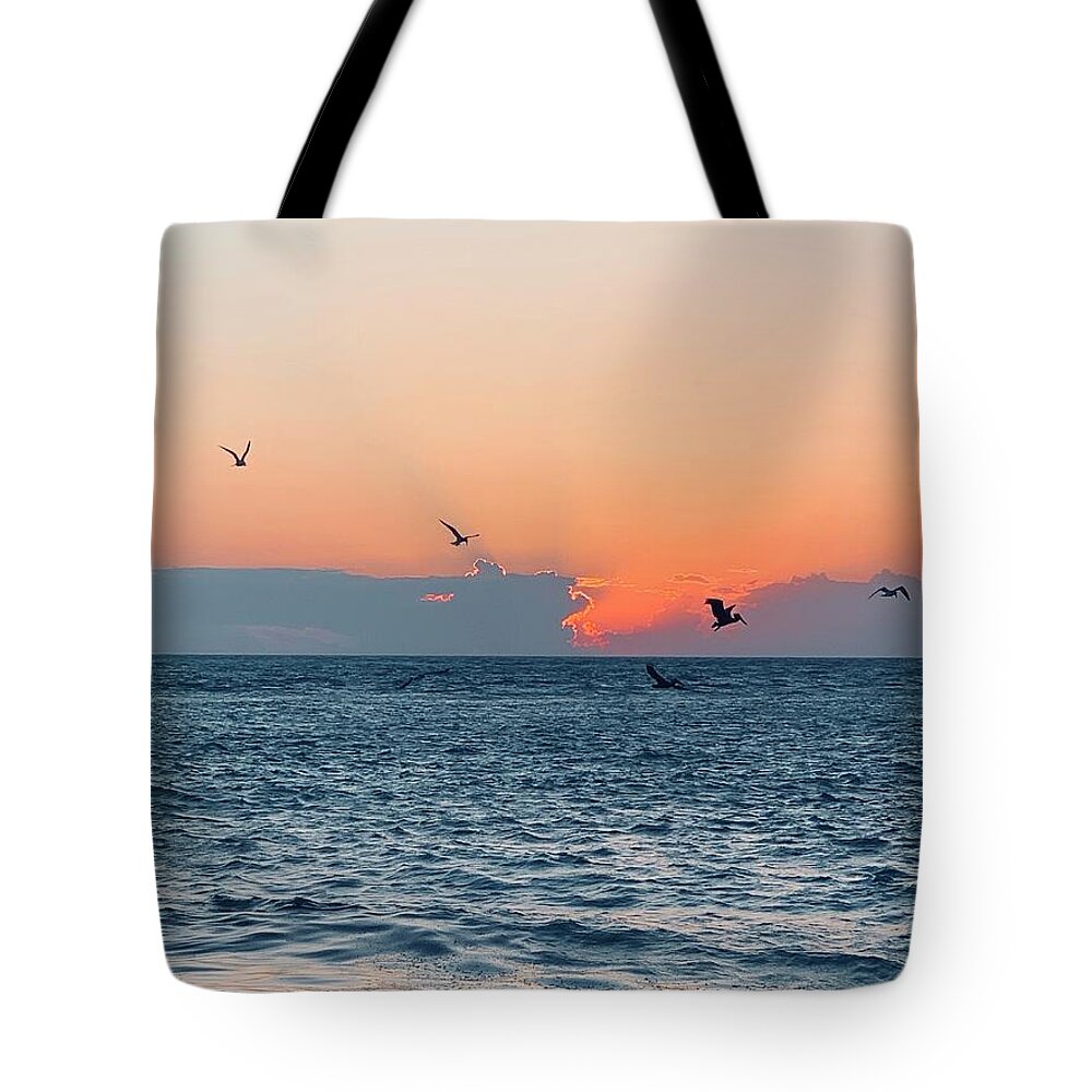 Birds Tote Bag featuring the photograph Captiva Island The Sunset Seabird Feast 1 by Shelly Tschupp