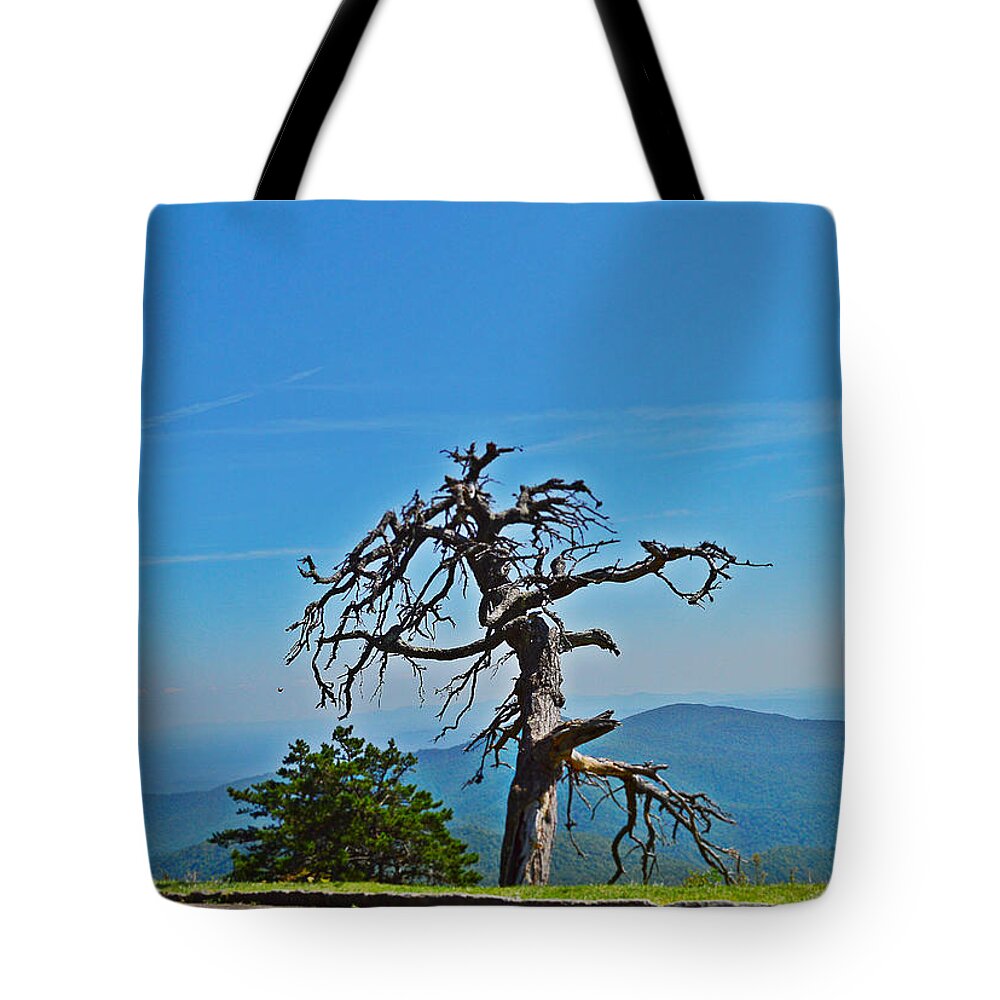 Dead Tree Tote Bag featuring the photograph The Survivor by Stacie Siemsen