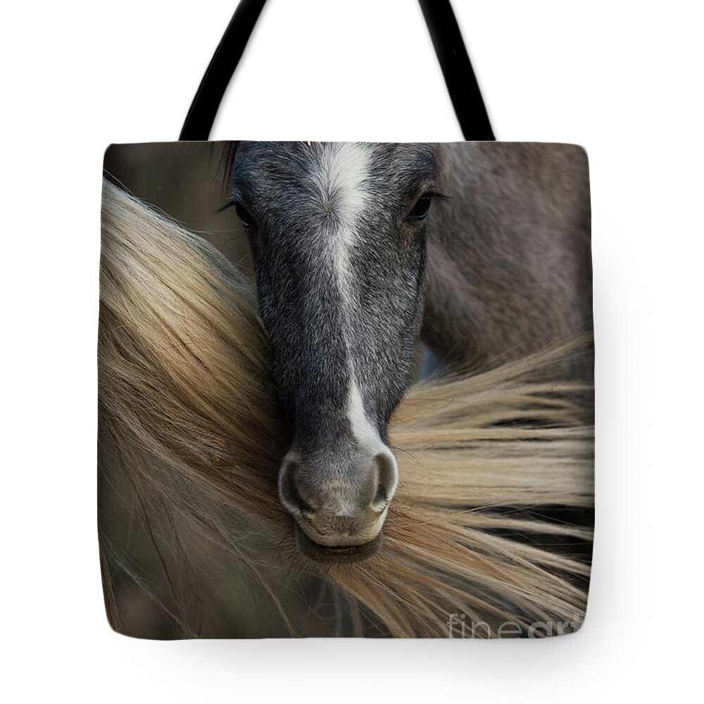 Cute Tote Bag featuring the photograph The Thinker by Shannon Hastings