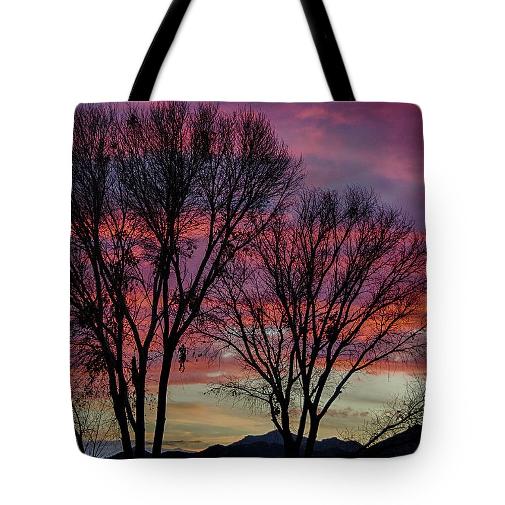 Arizona Tote Bag featuring the photograph The trees know sunset by Gaelyn Olmsted