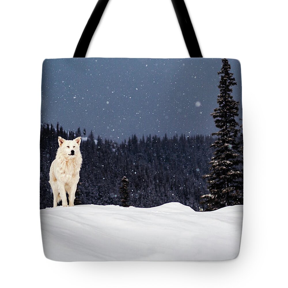 Animals Tote Bag featuring the photograph The Wolf by Evgeni Dinev
