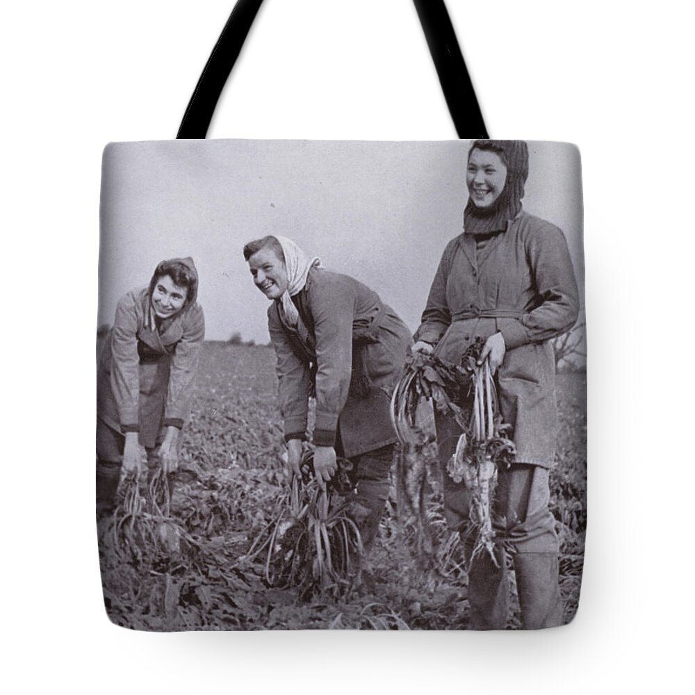 History Tote Bag featuring the photograph The Womens Land Army In The Front Line, Sugar Beet Lifting by Harold Burdekin