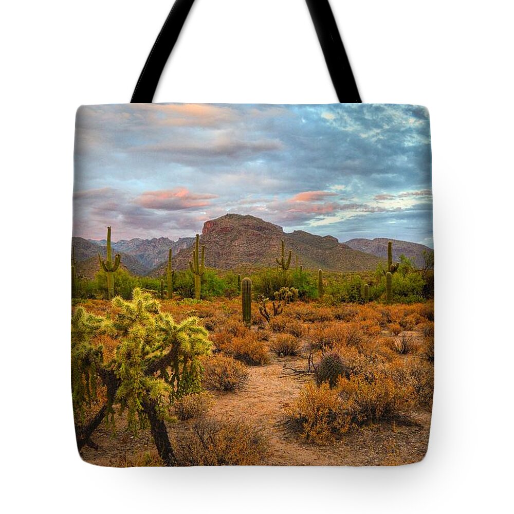 Thimble Peak Tote Bag featuring the photograph Thimble Peak and Cholla from Sabino Canyon, Tucson by Chance Kafka