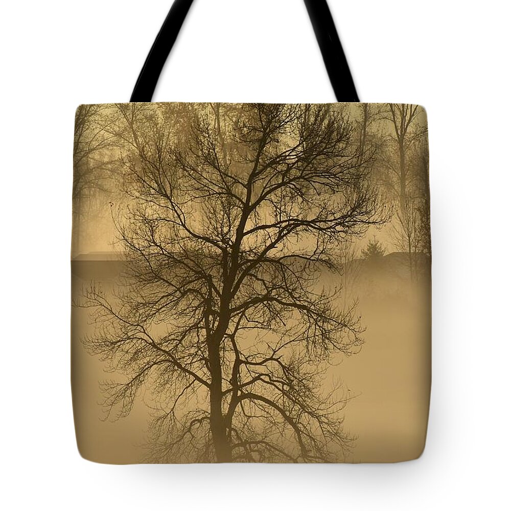 Trees Tote Bag featuring the photograph This Old Tree by Jimmy Chuck Smith