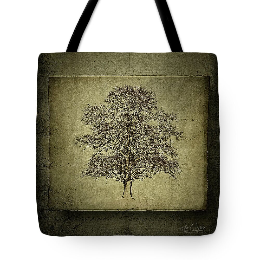 Trees Tote Bag featuring the photograph This Tree Is On The Square by Rene Crystal