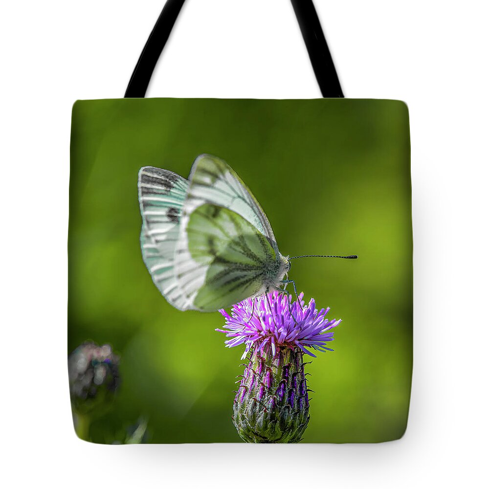 Thistle Dinner Tote Bag featuring the photograph Thistle dinner #i9 by Leif Sohlman