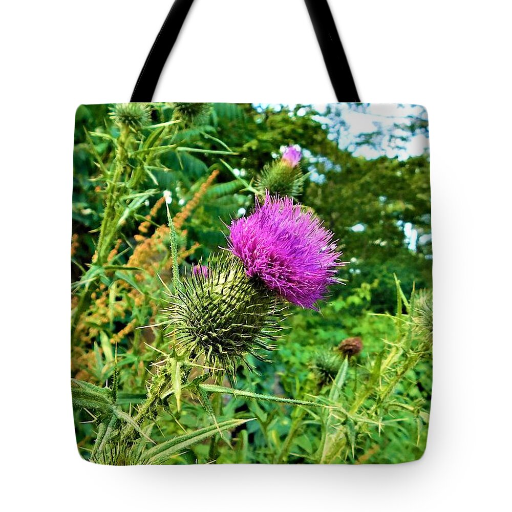 - Thistle Tote Bag featuring the photograph - Thistle by THERESA Nye