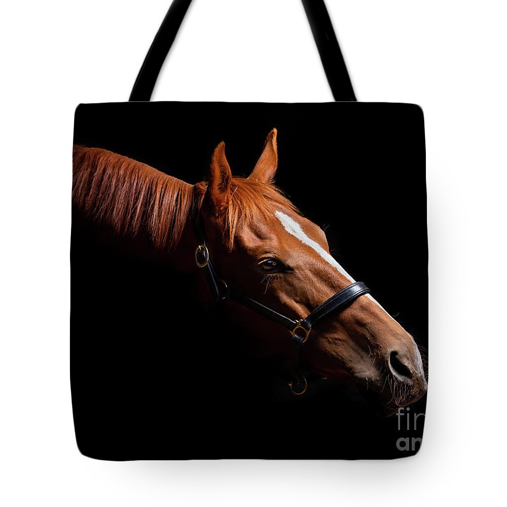 Horse Tote Bag featuring the photograph Thoroughbred Portrait on Black by Michelle Wrighton