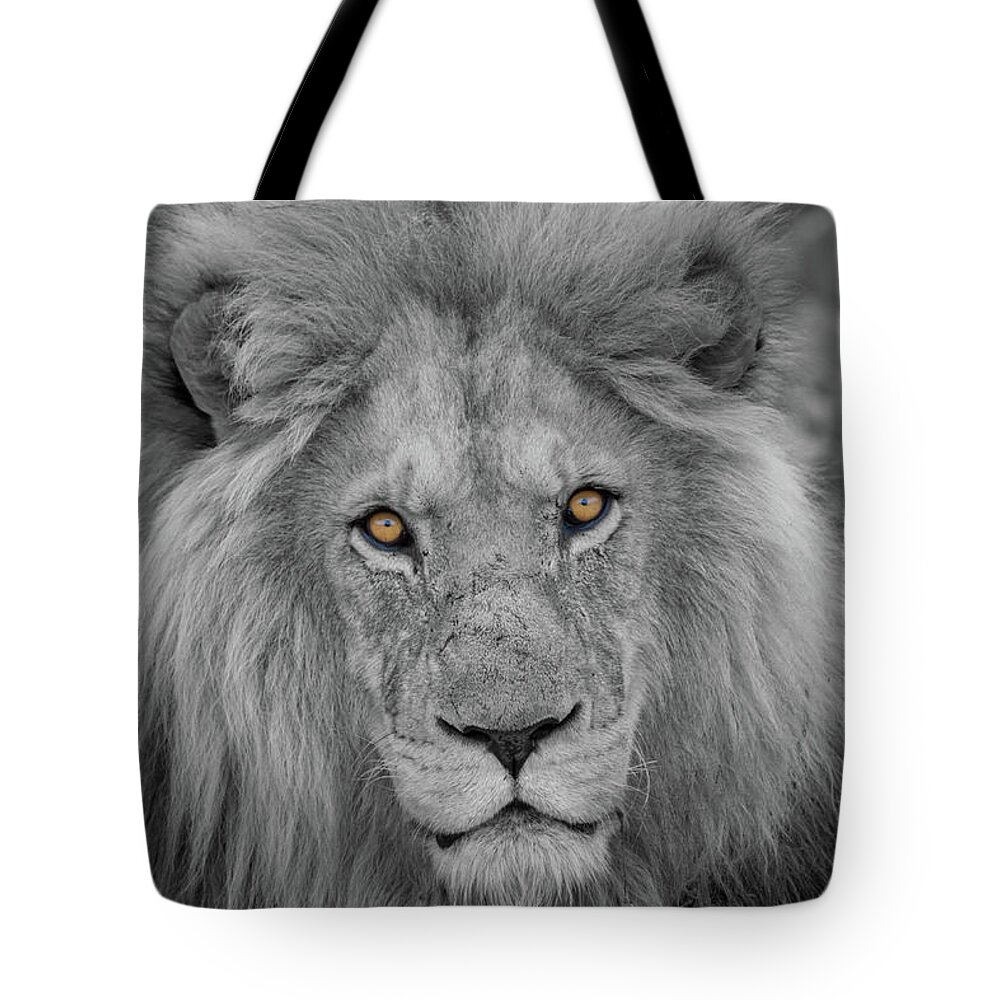 Selective Color Tote Bag featuring the photograph Those Eyes by Randy Robbins