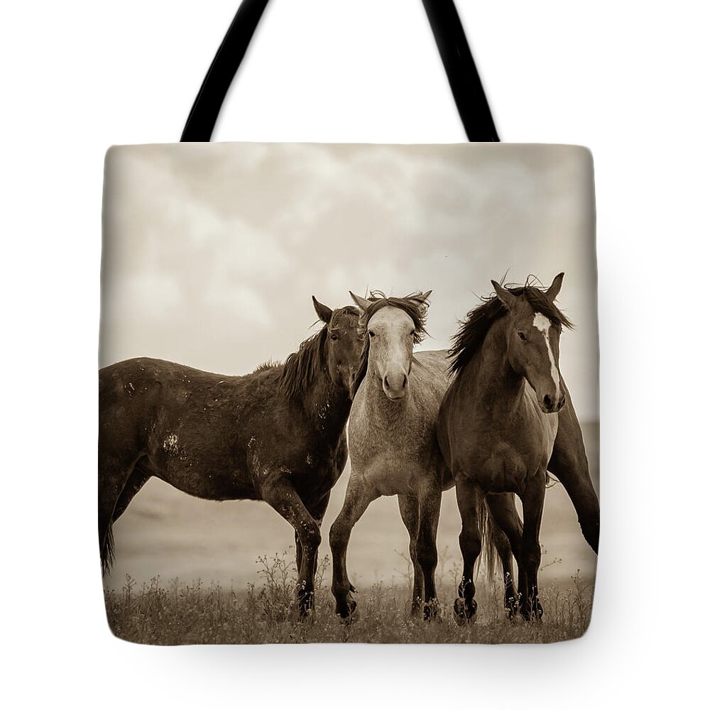 Wild Horses Tote Bag featuring the photograph Three Amigos by Mary Hone