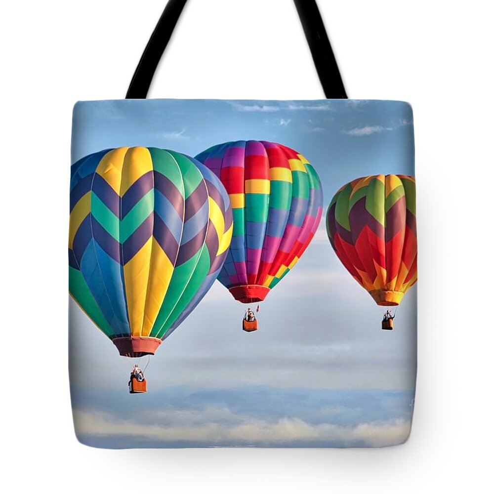 Hawaii Hot Air Balloon Portable Bags Clutch Pouch,Mother And Child Storage  Bag,Shell Shape Coin Large Capacity Purse Storage For Cosmetics,Small  Everyday Items, White, One Size : Amazon.ca: Beauty & Personal Care