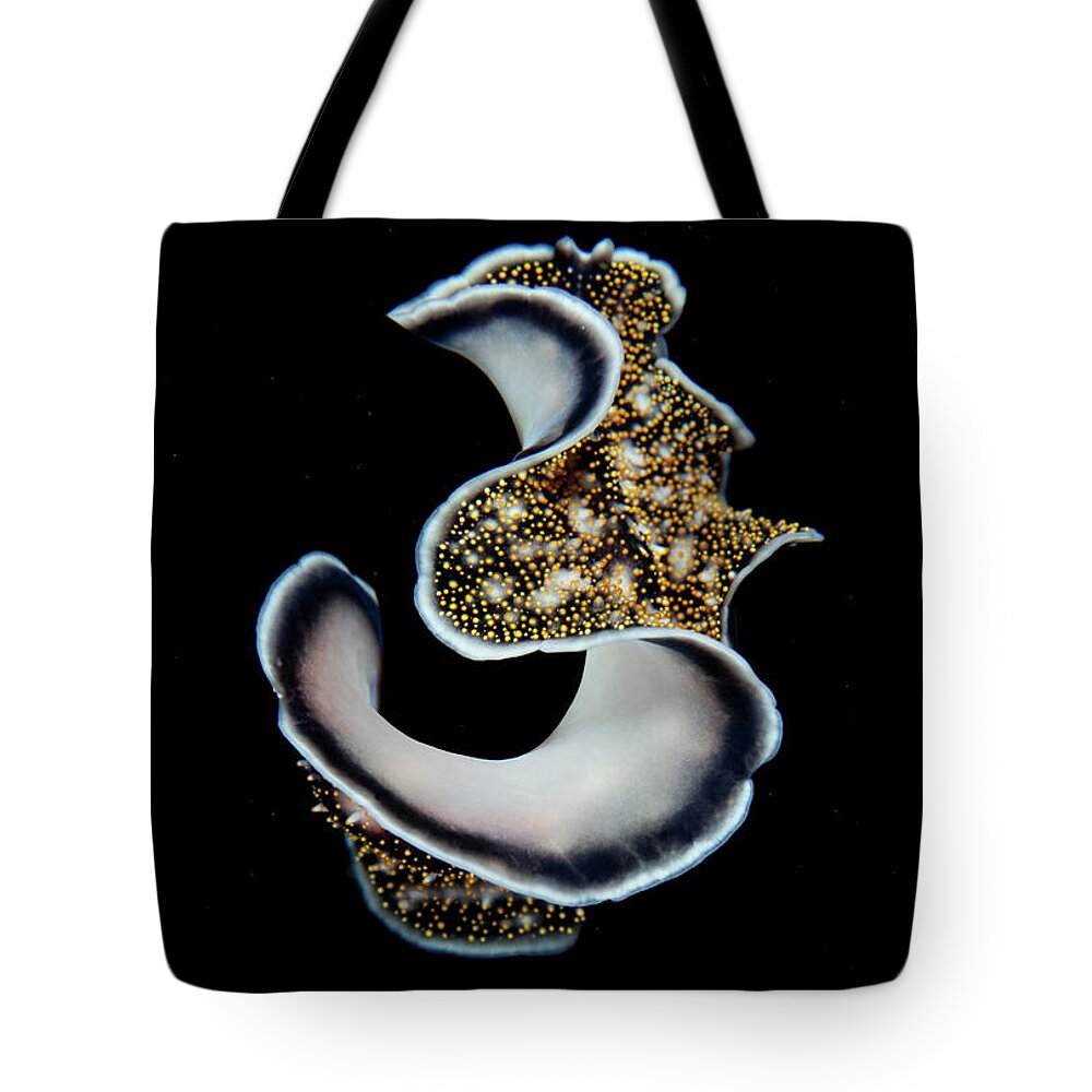 Underwater Tote Bag featuring the photograph Three by Nature, Underwater And Art Photos. Www.narchuk.com