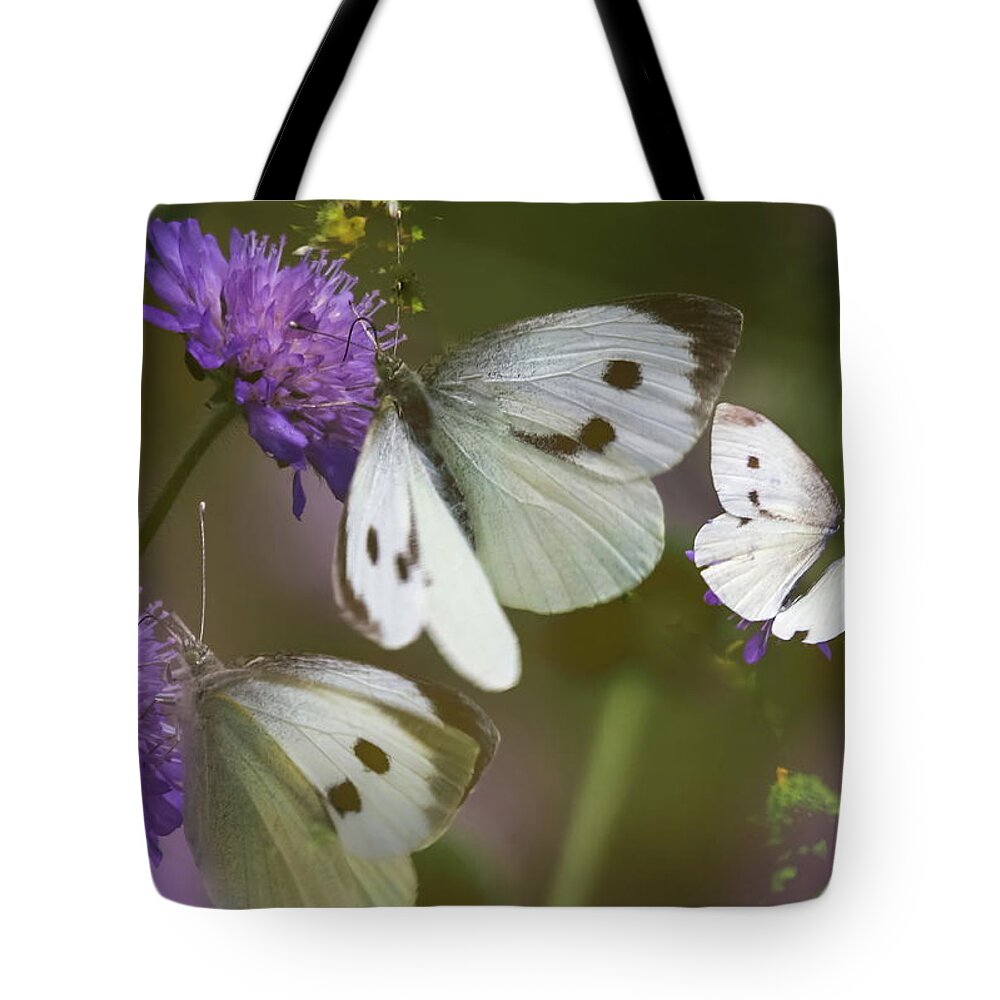 Butterfly Tote Bag featuring the photograph Three Small White Butterflies by Jeff Townsend