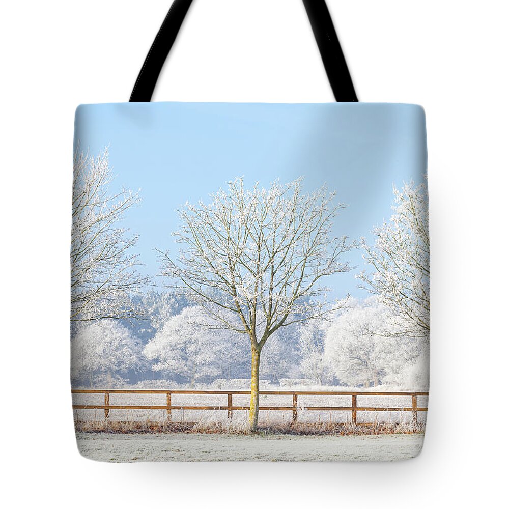 Landscape Tote Bag featuring the photograph Three winter trees and frozen fence by Simon Bratt