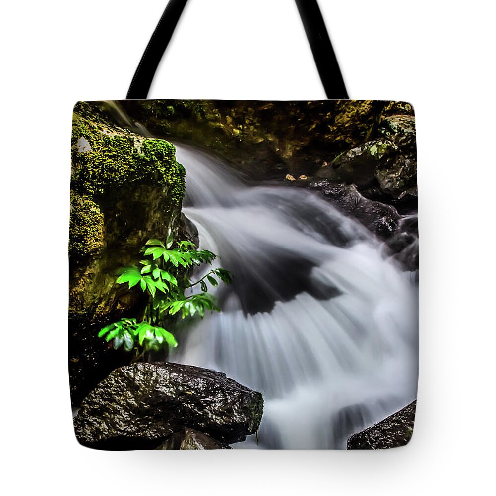 Waterfall Photo Tote Bag featuring the photograph Thrive by Az Jackson