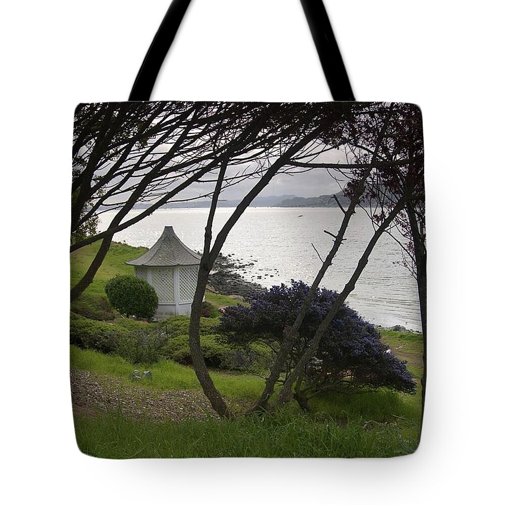 Tiburon Tote Bag featuring the photograph Tiburon Waterfront by John Parulis
