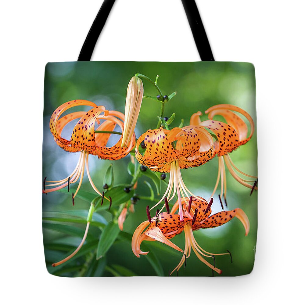 Tiger Lily Tote Bag featuring the photograph Tiger Lily Bokeh by Kathy Sherbert