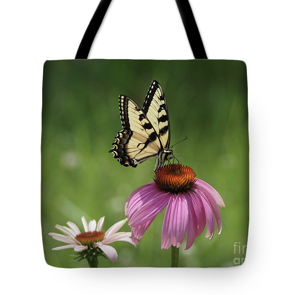 Butterfly Tote Bag featuring the photograph Tiger Swallowtail Butterfly and Coneflowers by Robert E Alter Reflections of Infinity
