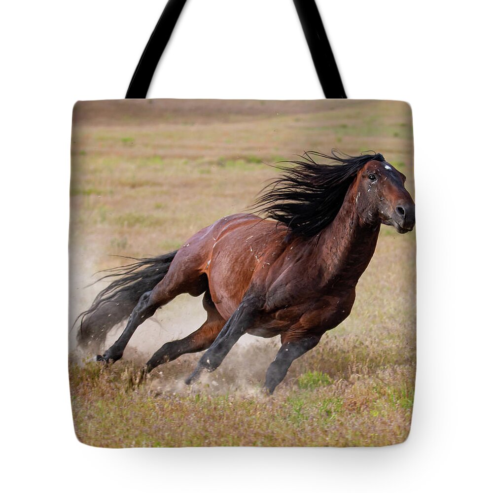 Wild Horses Tote Bag featuring the photograph Tight Curves by Mary Hone