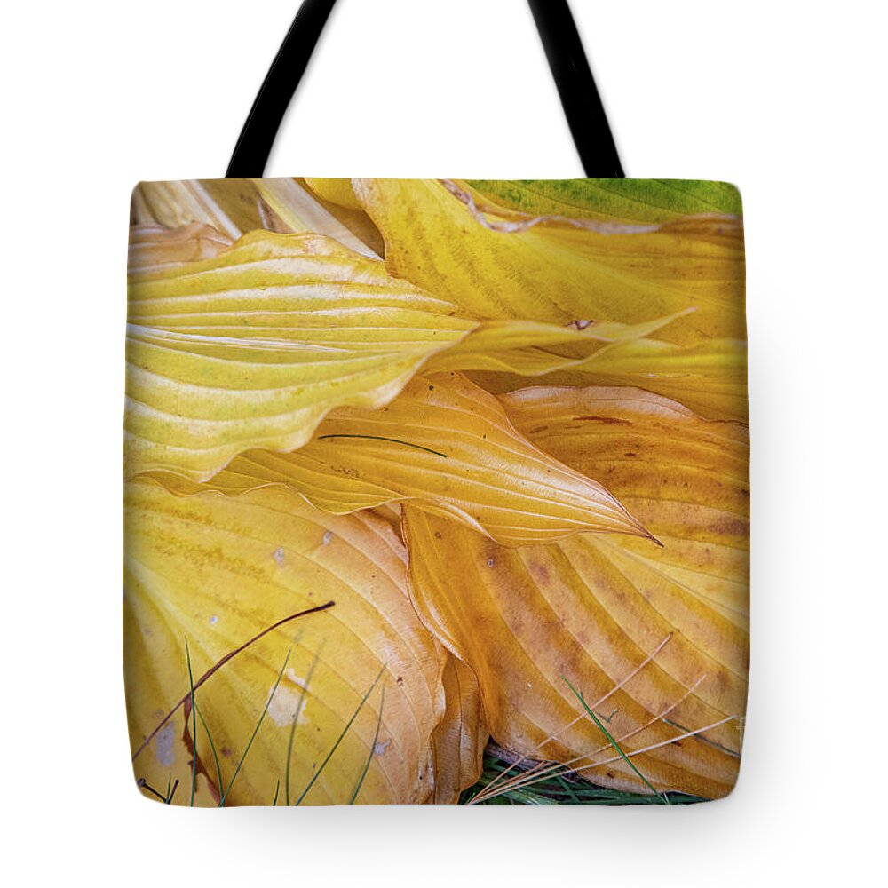 Abstracts Tote Bag featuring the photograph Time to Rest by Marilyn Cornwell