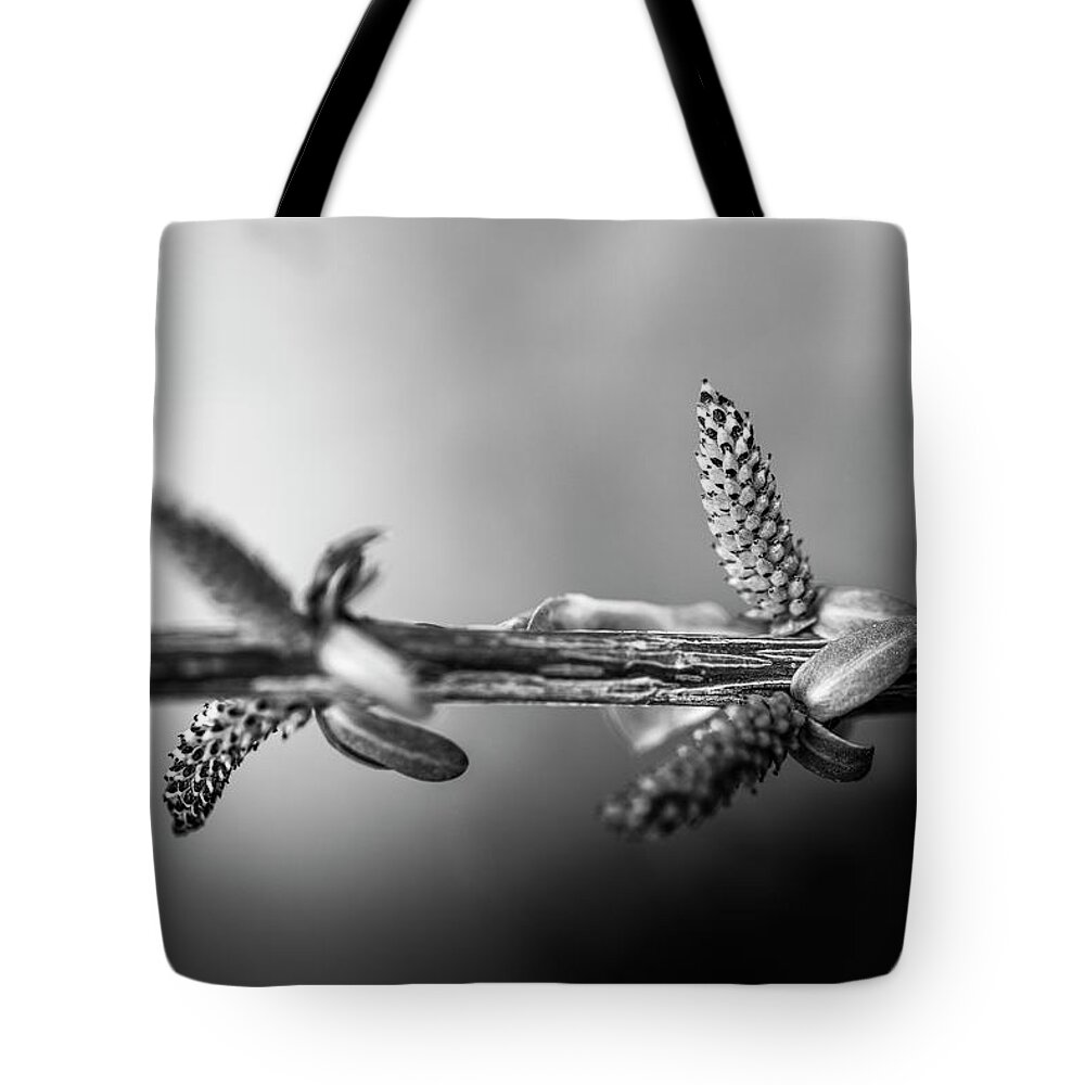 Blumwurks Tote Bag featuring the photograph Tiny Offerings by Matthew Blum