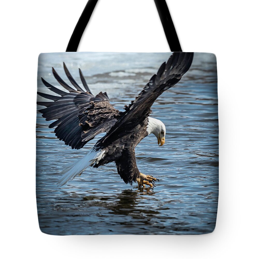 Eagle Tote Bag featuring the photograph Tippy Talon by Laura Hedien
