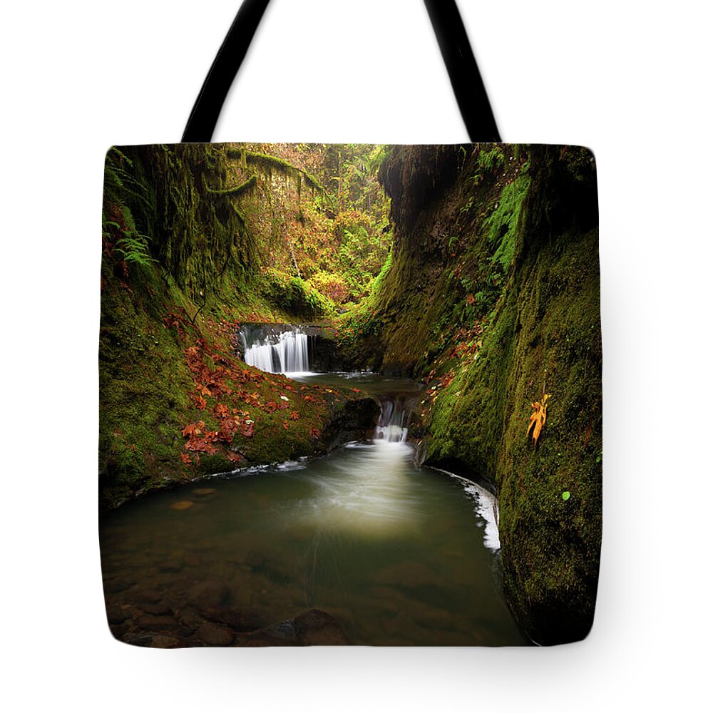 Landscape Tote Bag featuring the photograph Tire Creek Canyon by Andrew Kumler