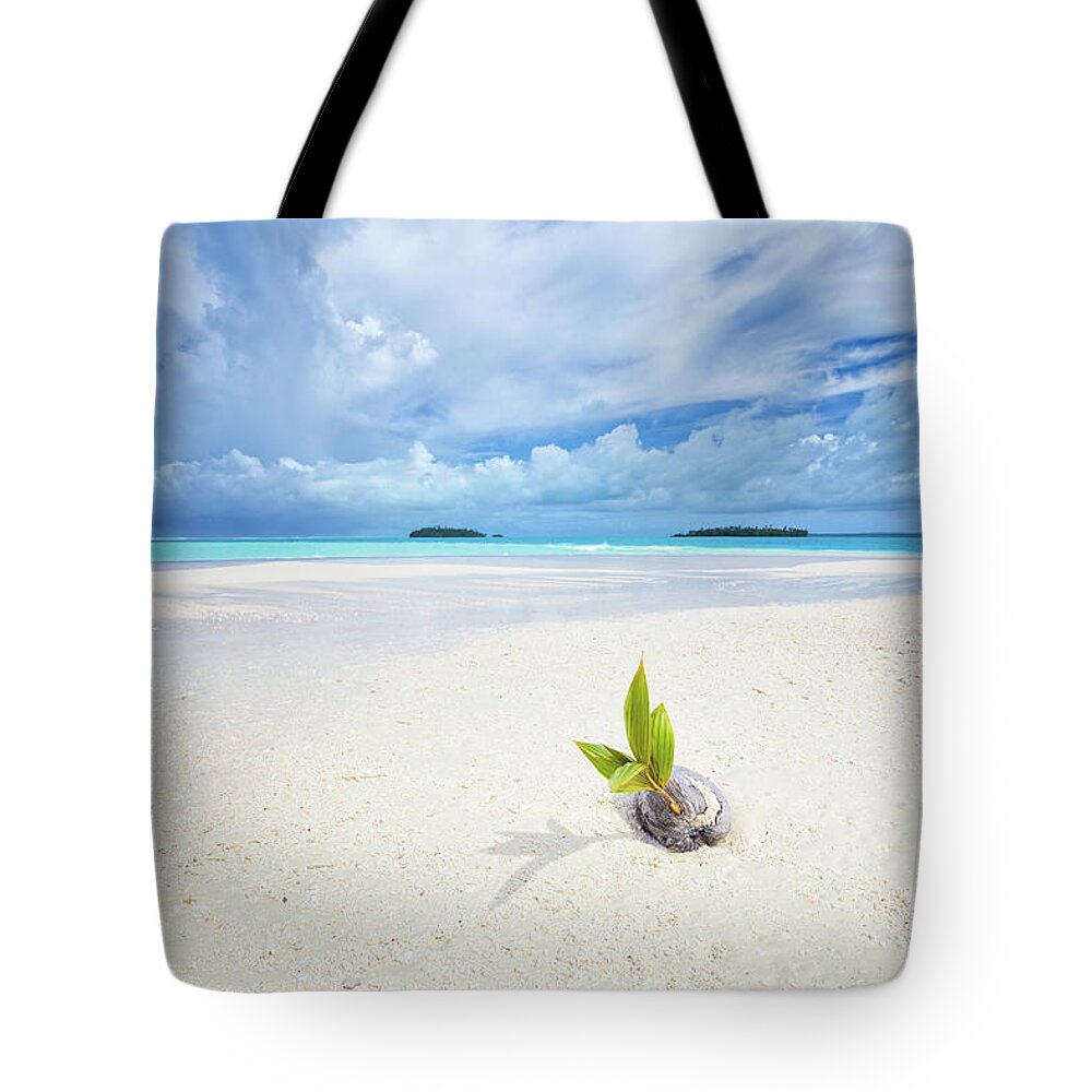Coconut Tote Bag featuring the photograph To Be a Coconut by Becqi Sherman