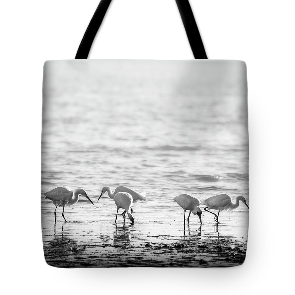 Blumwurks Tote Bag featuring the photograph Togetherness by Matthew Blum
