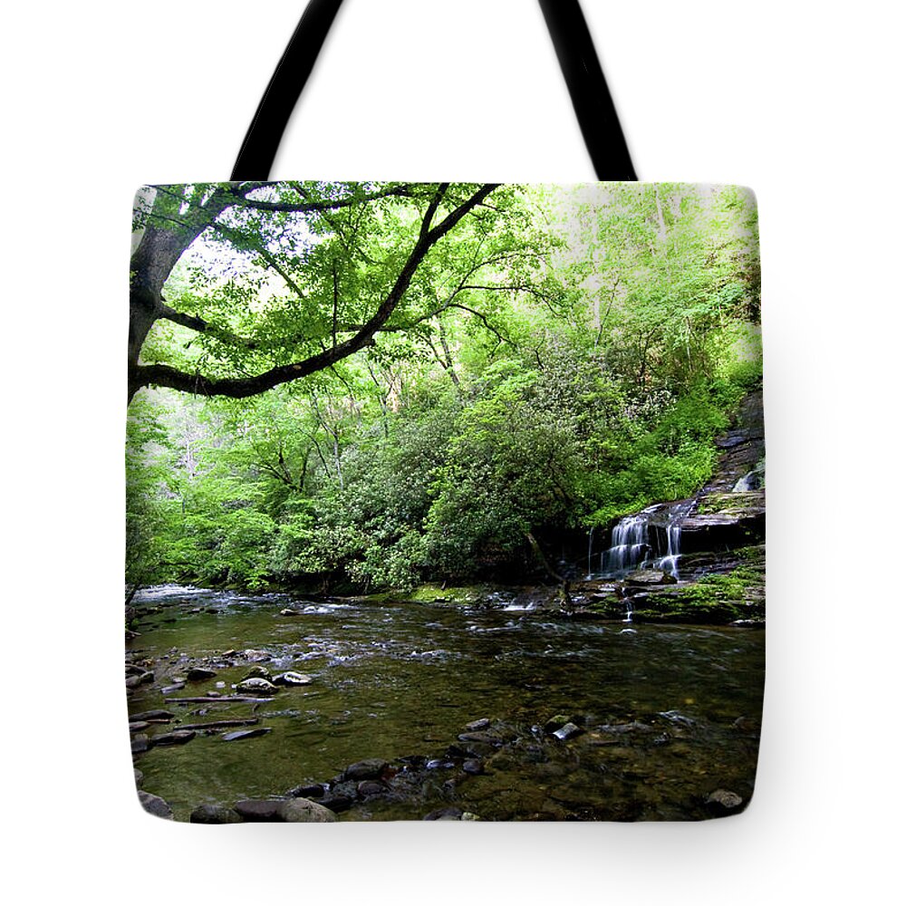 Waterfalls Tote Bag featuring the photograph Tom Branch Falls on Deep Creek by Bob Decker