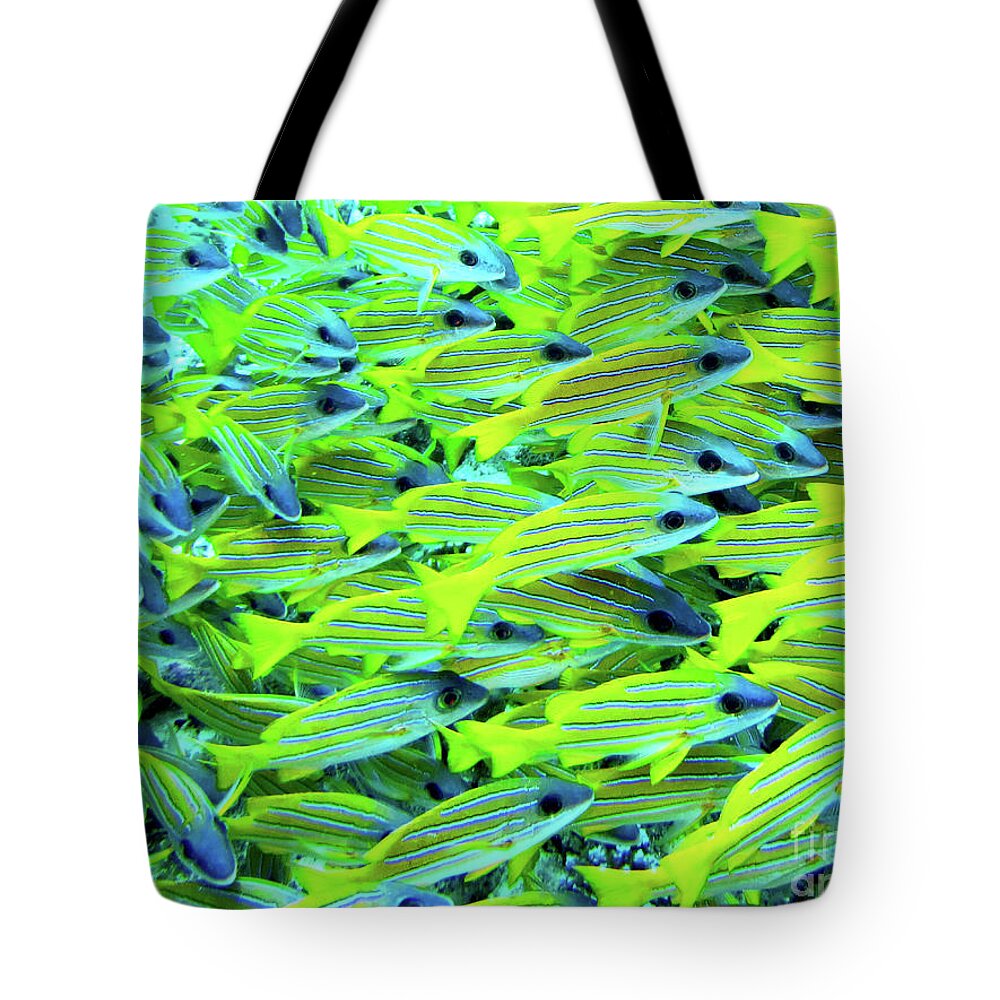 Yellow Snapper Tote Bag featuring the photograph Traffic Jam by Becqi Sherman