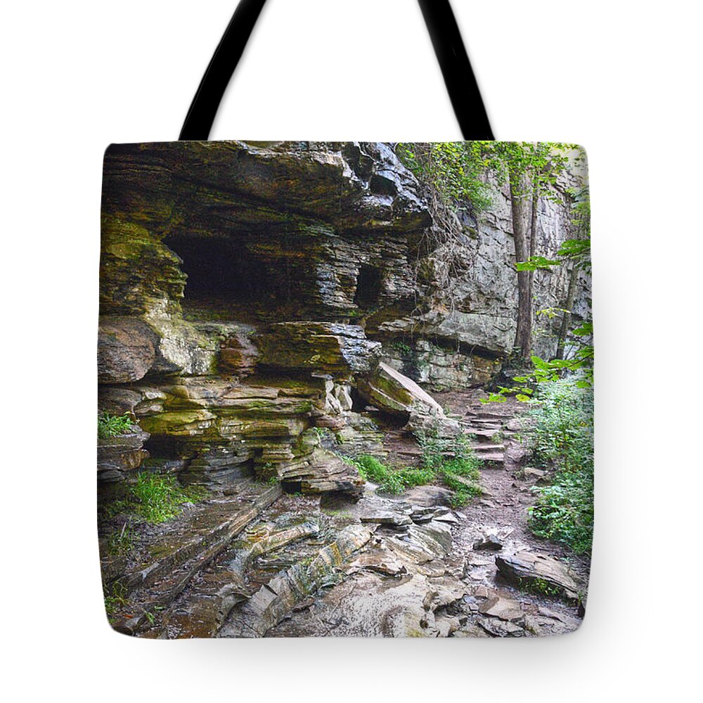 Tennessee Tote Bag featuring the photograph Trail Into Gorge by Phil Perkins
