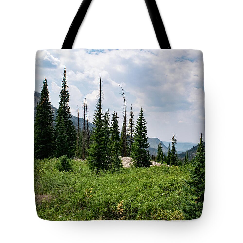 Mountain Tote Bag featuring the photograph Trail to Gilpin Lake by Nicole Lloyd