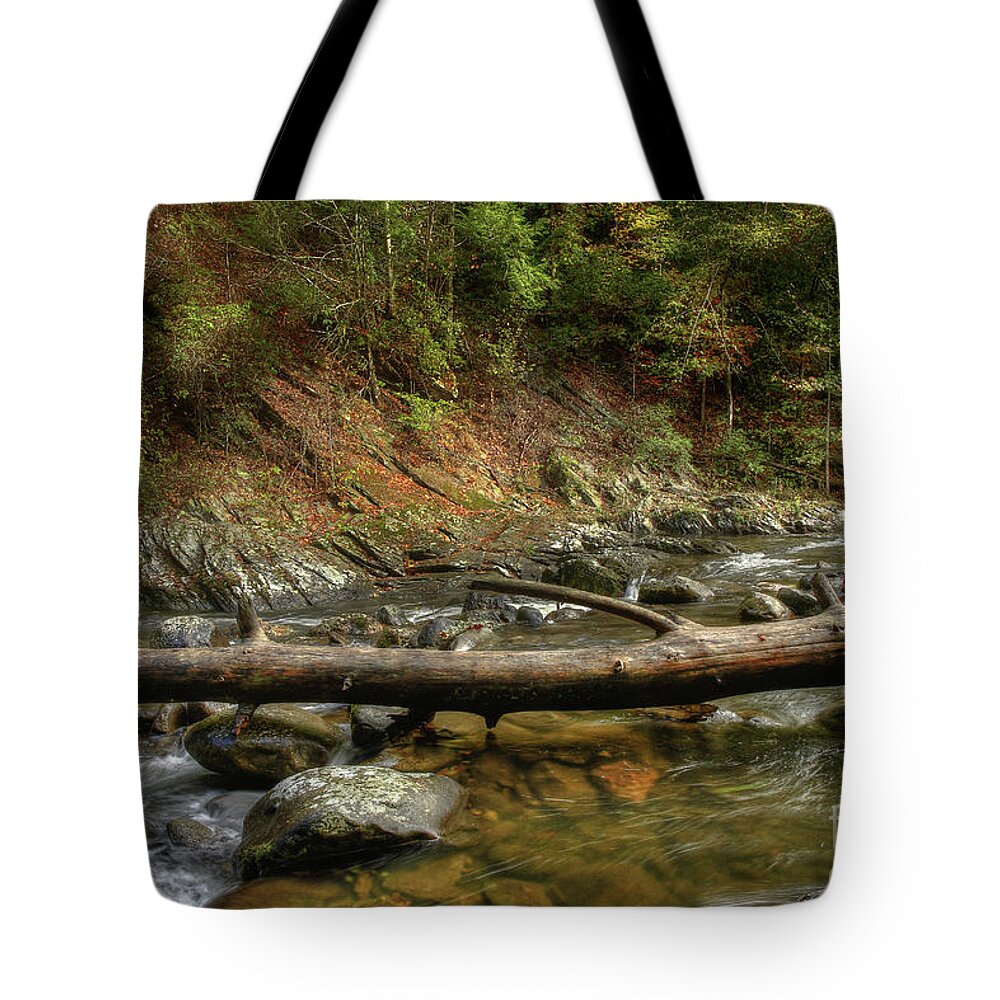 Tree Tote Bag featuring the photograph Tree Across The River by Mike Eingle