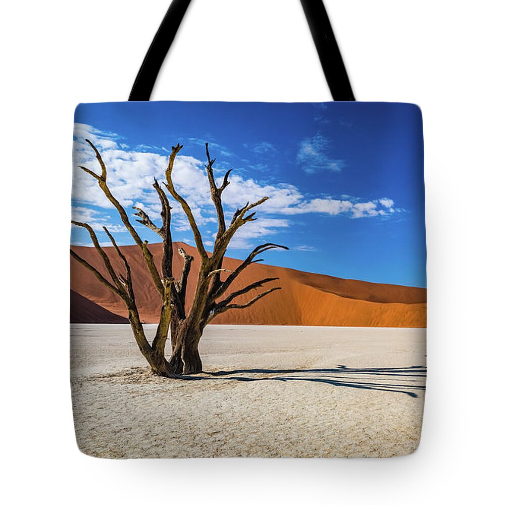 Deadvlei Tote Bag featuring the photograph Tree and shadow in Deadvlei, Namibia by Lyl Dil Creations