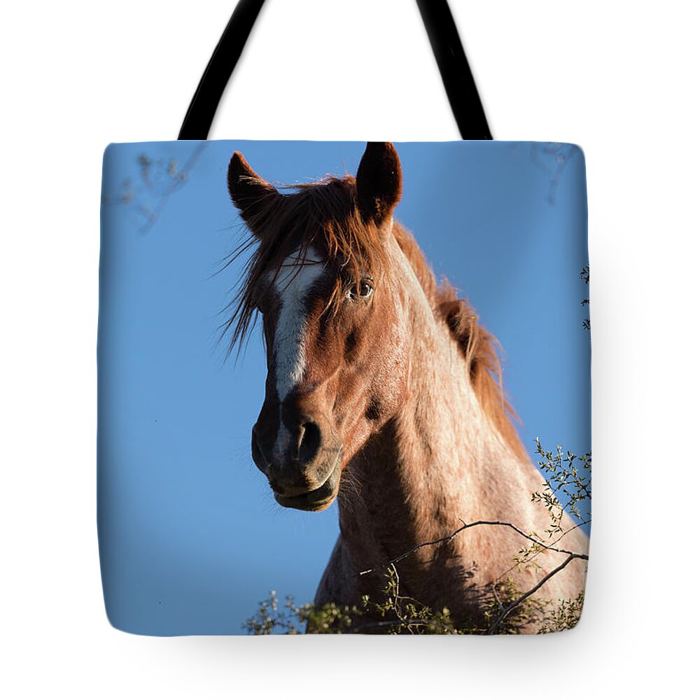 Stallion Tote Bag featuring the photograph Tree Horse by Shannon Hastings