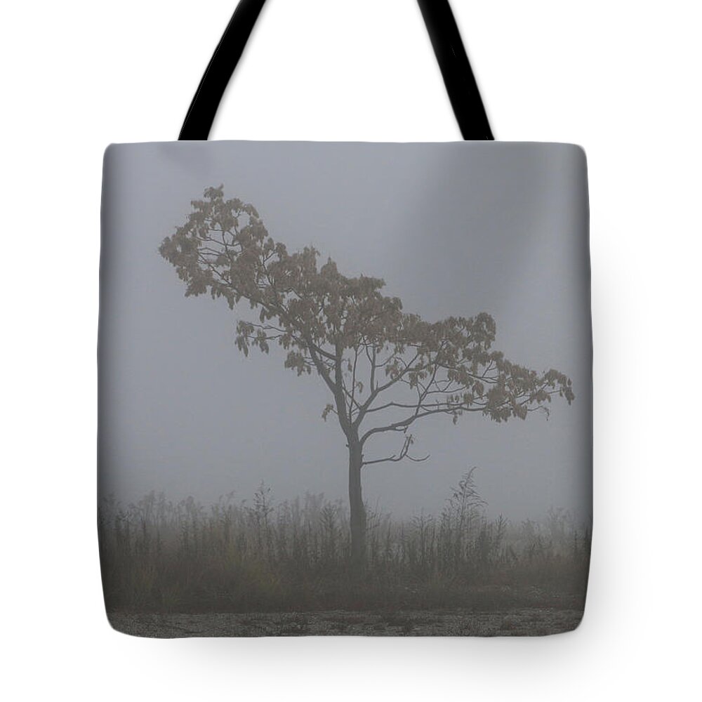 Tree Tote Bag featuring the photograph Tree in Fog by William Selander