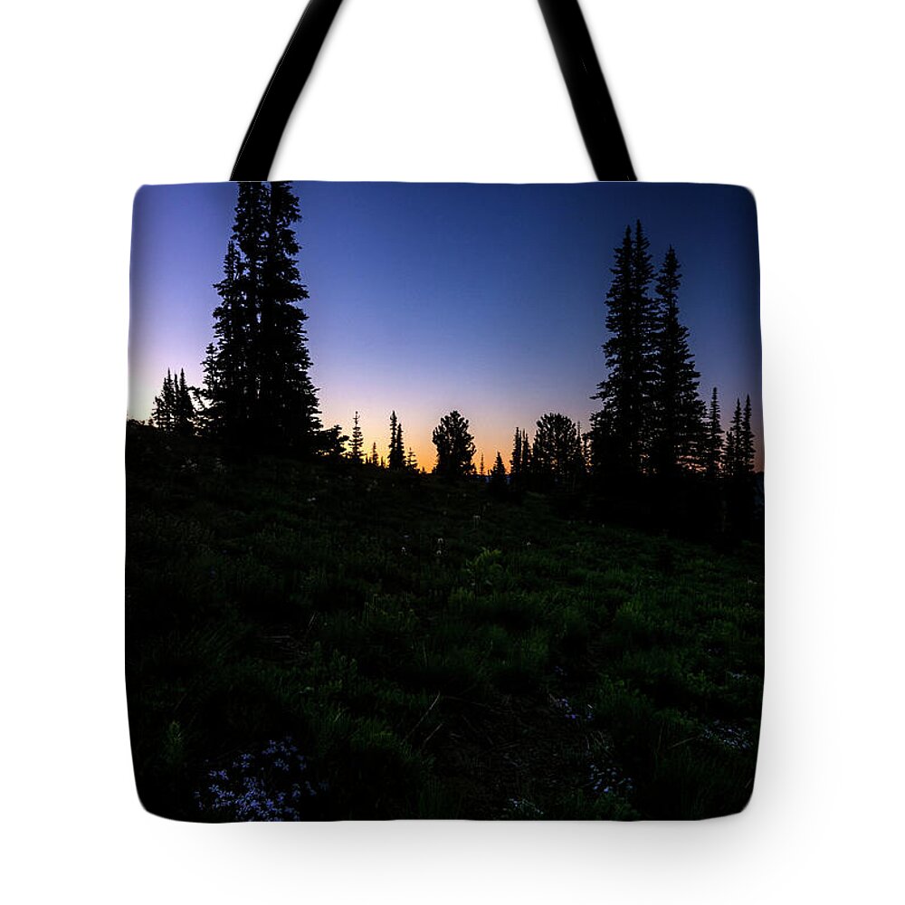 Tree Tote Bag featuring the photograph Tree Silhouette Sunrise 2 by Pelo Blanco Photo