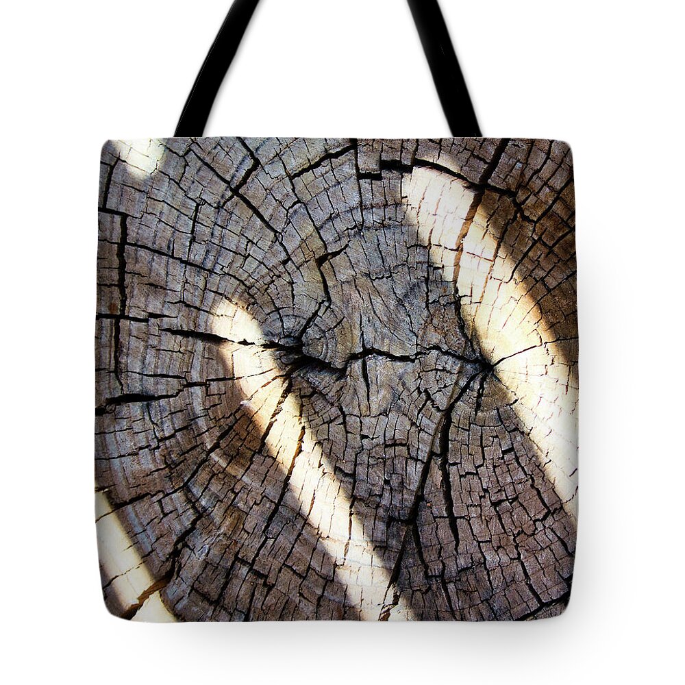 Abstract Tote Bag featuring the photograph Tree Stump With Dappled Sunlight by Segura Shaw Photography