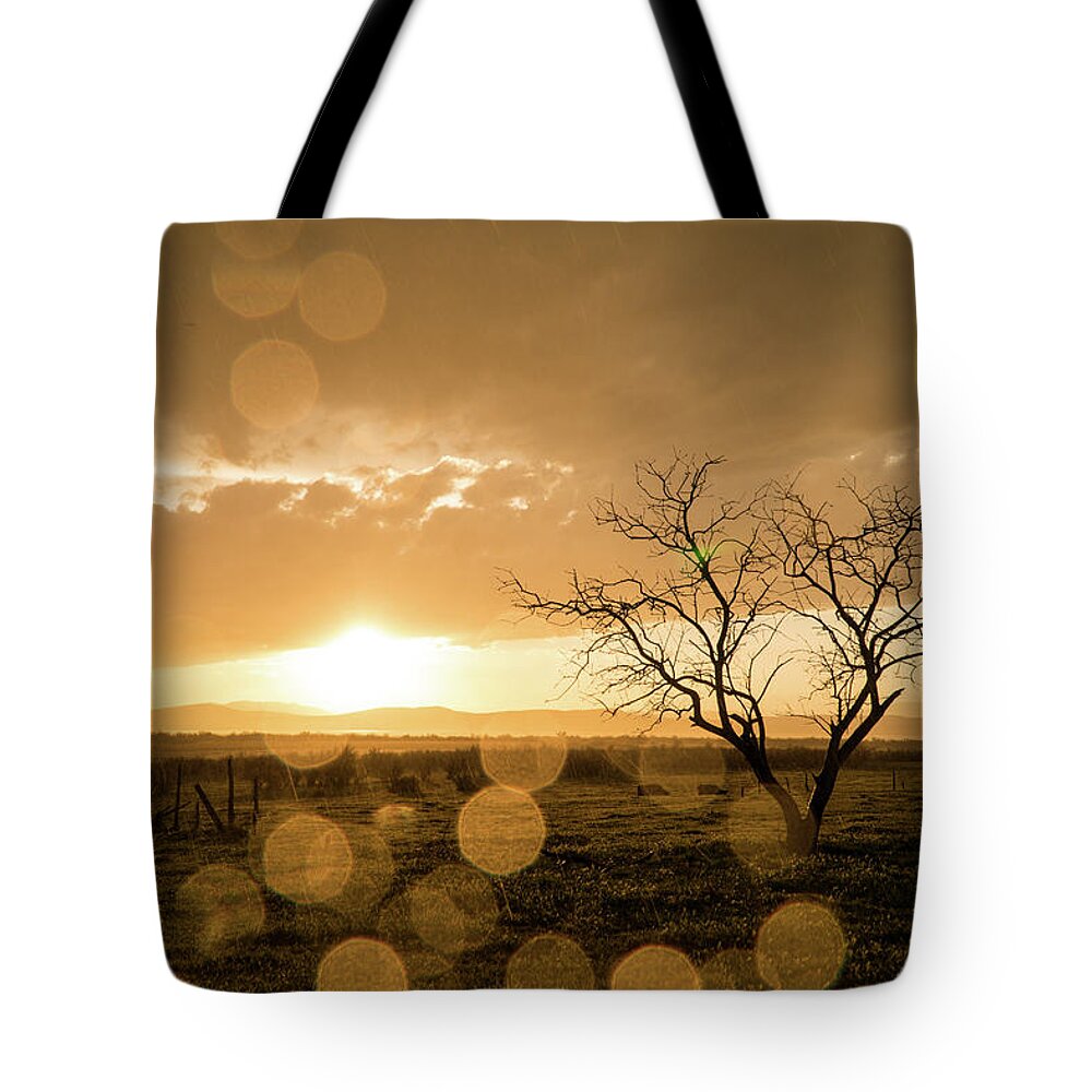Sunset Tote Bag featuring the photograph Tree Sunset by Wesley Aston