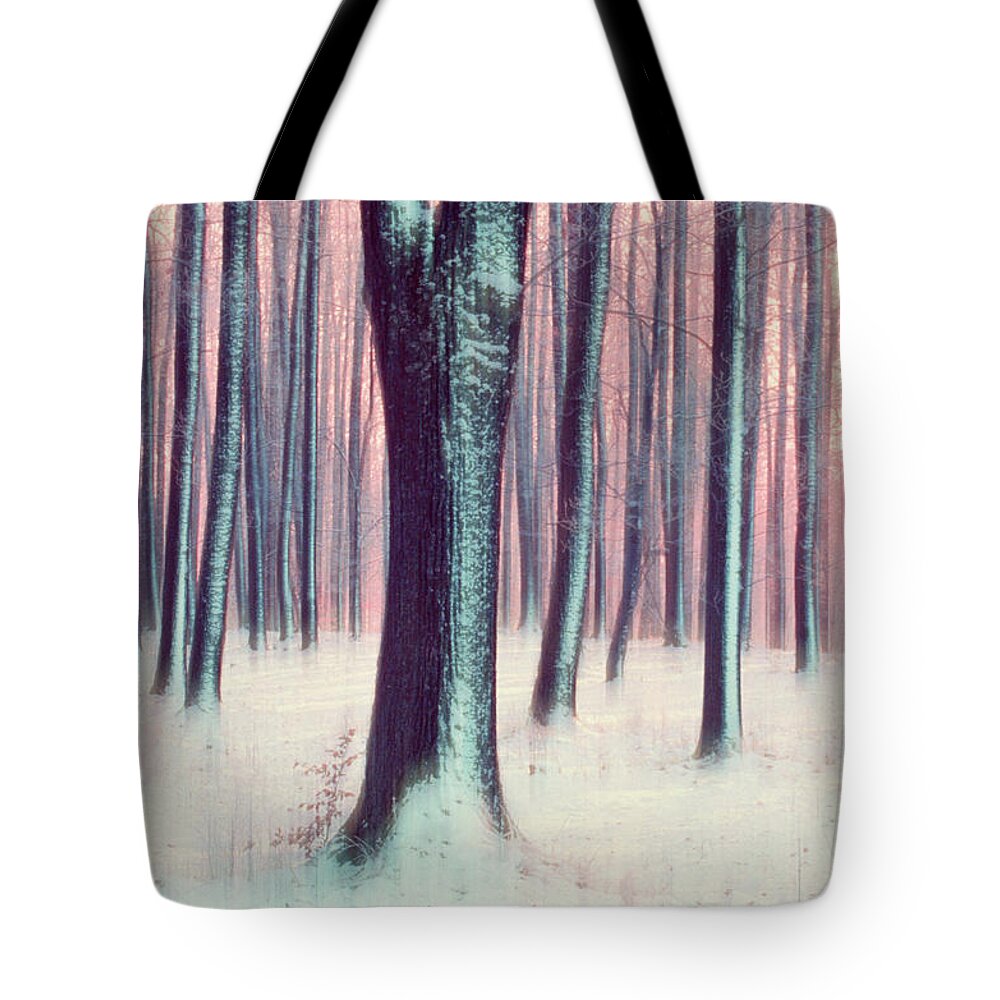 Snow Tote Bag featuring the photograph Tree Trunks In Winter by Martin Ruegner