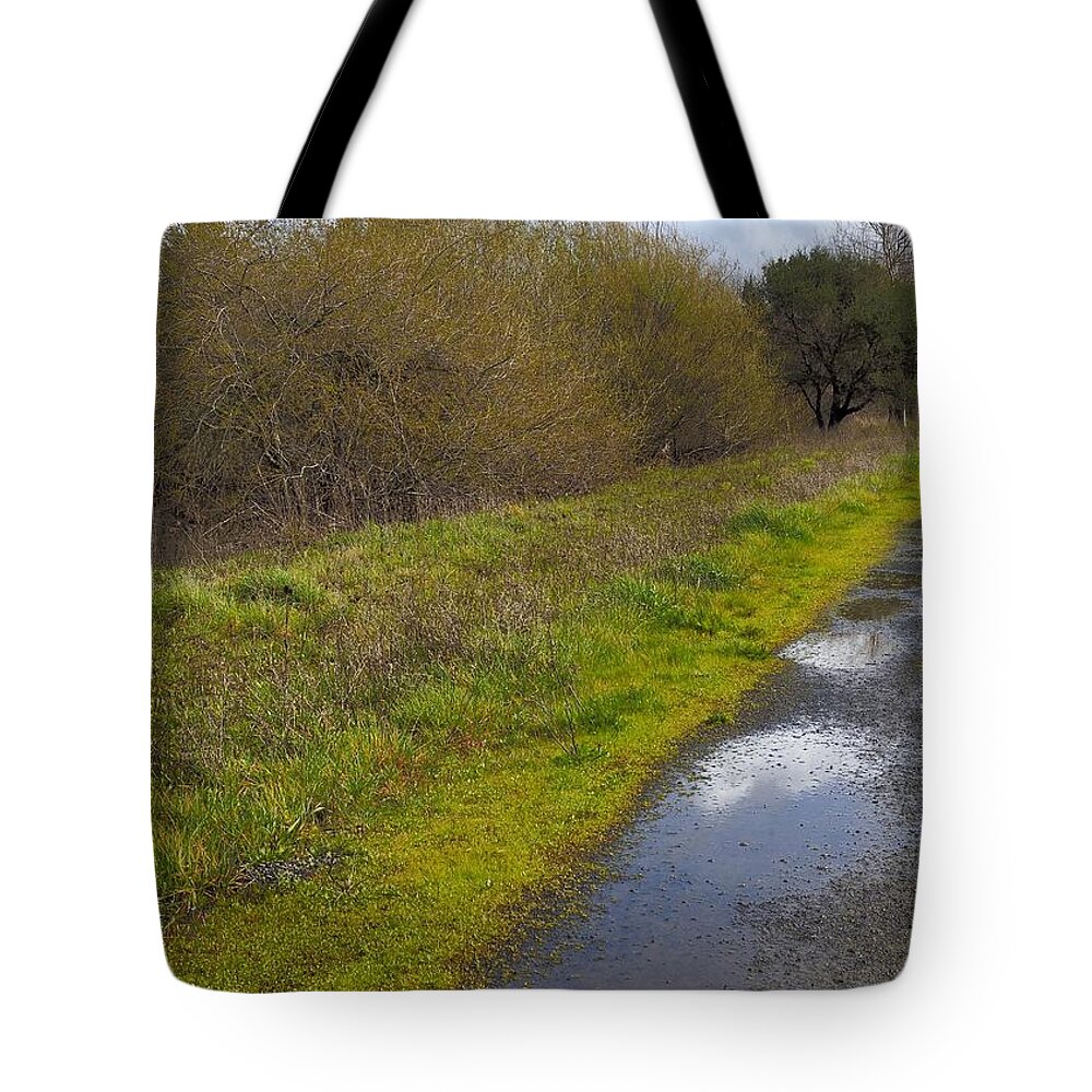 Weather Tote Bag featuring the photograph Trees Creek Path by Richard Thomas